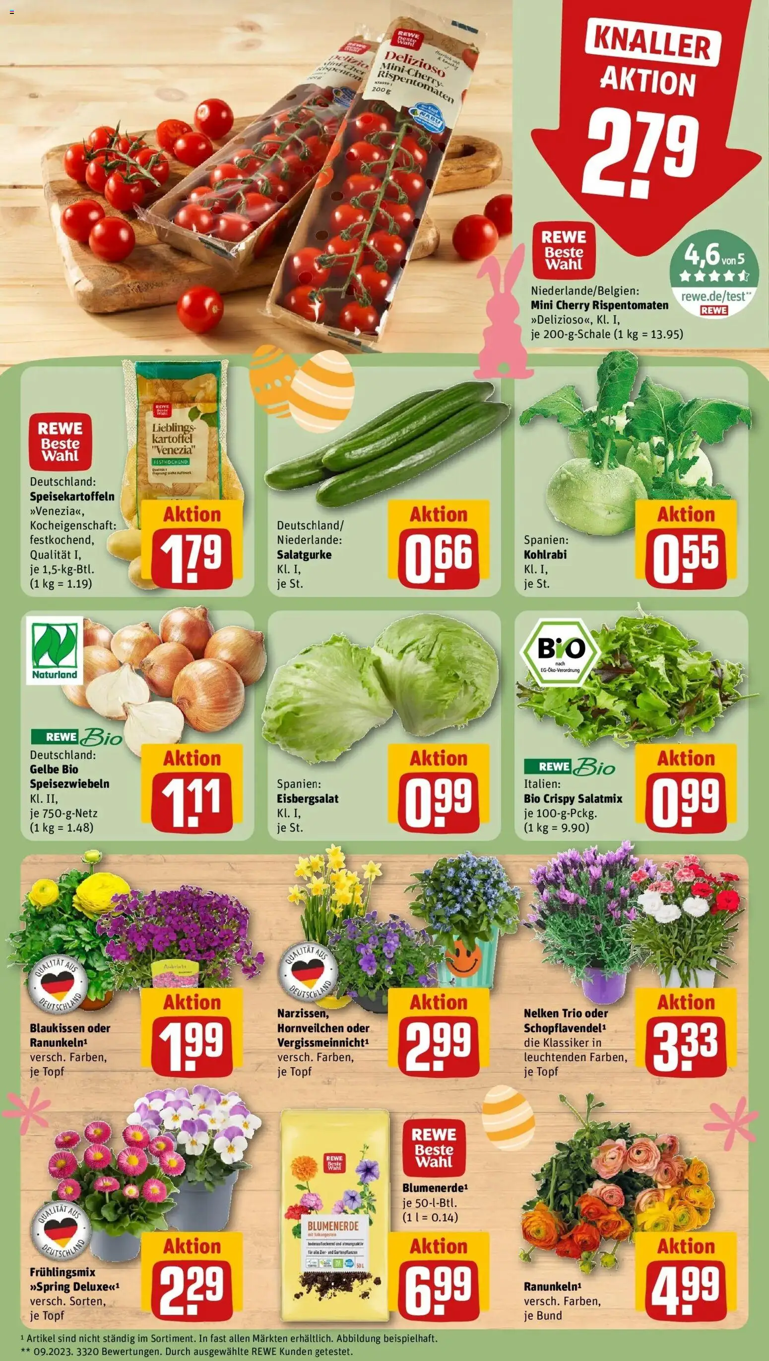 Rewe Prospekt Berlin / Schöneberg	 – gültig ab 23.03.2026 | Seite: 9 | Produkte: Kohlrabi, Eisbergsalat, Blumenerde