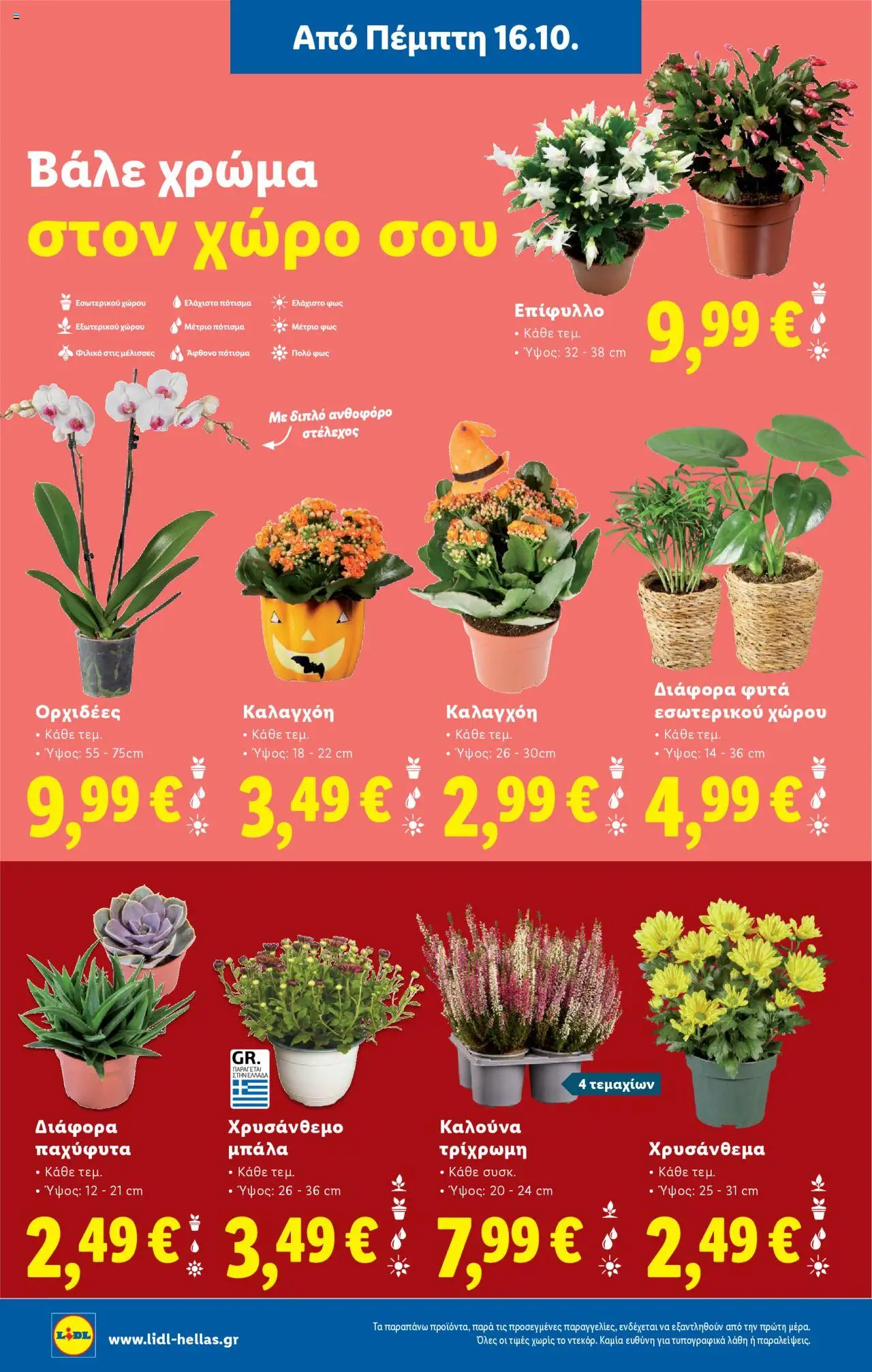 | Σελίδα: 36