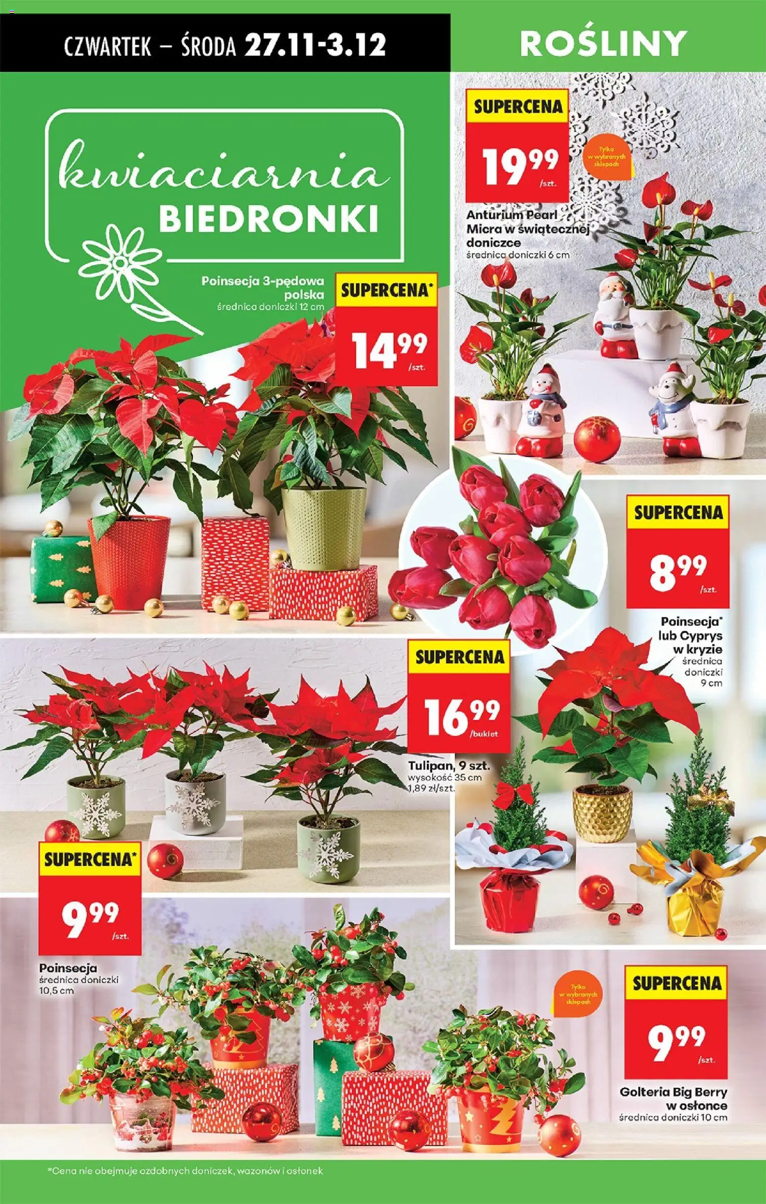 Biedronka Black Friday od 27.11.2025 | Strona: 87 | Produkty: Rosliny, Doniczki