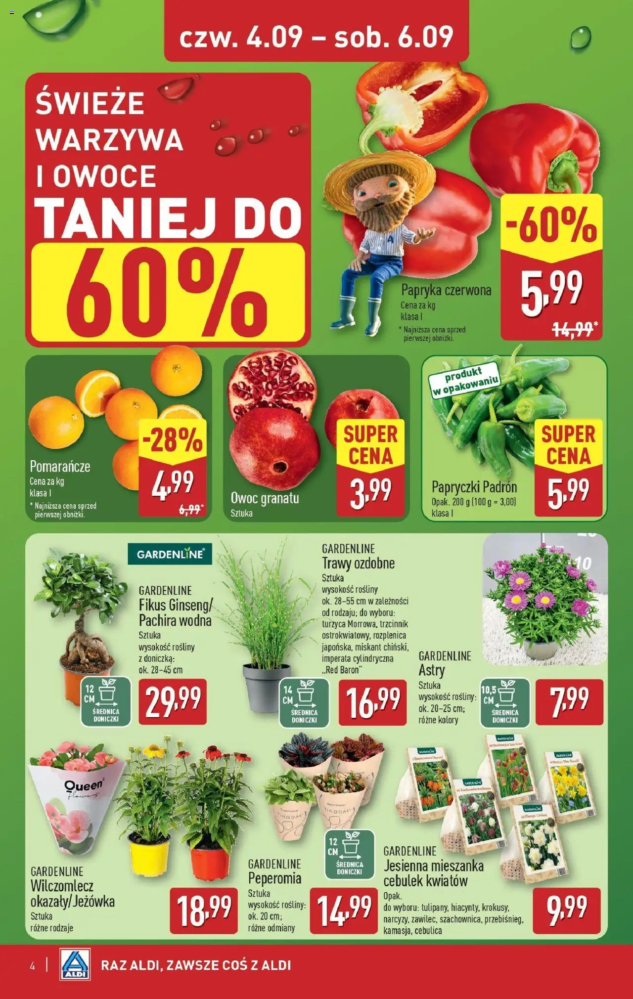 Aldi Gazetka - Okazje na weekend od 04.09.2025 | Strona: 4 | Produkty: Rosliny, Papryka czerwona, Warzywa, Fikus
