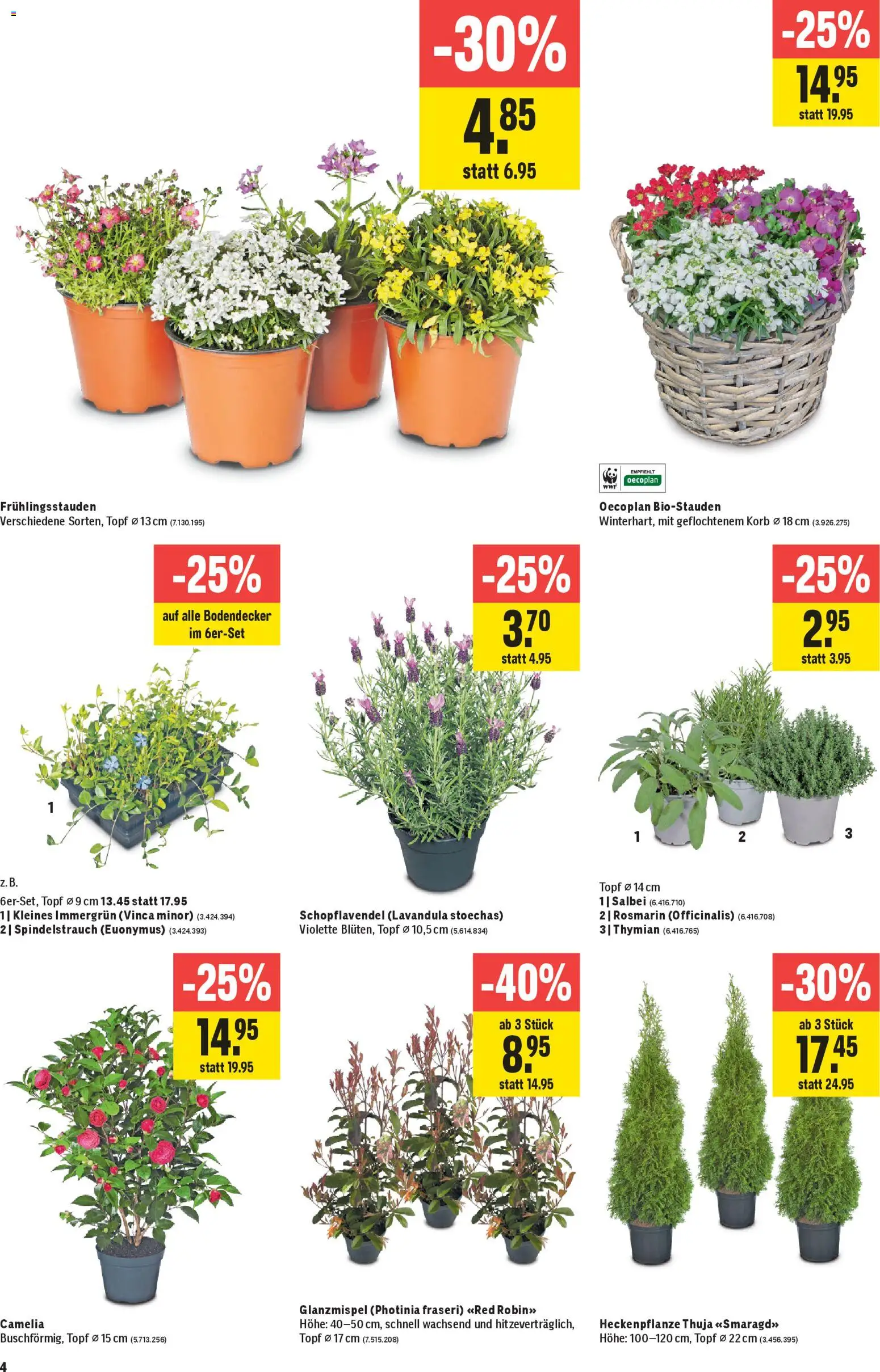 Jumbo aktionen – gültig ab 12.03.2026 | Seite: 4 | Produkte: Korb