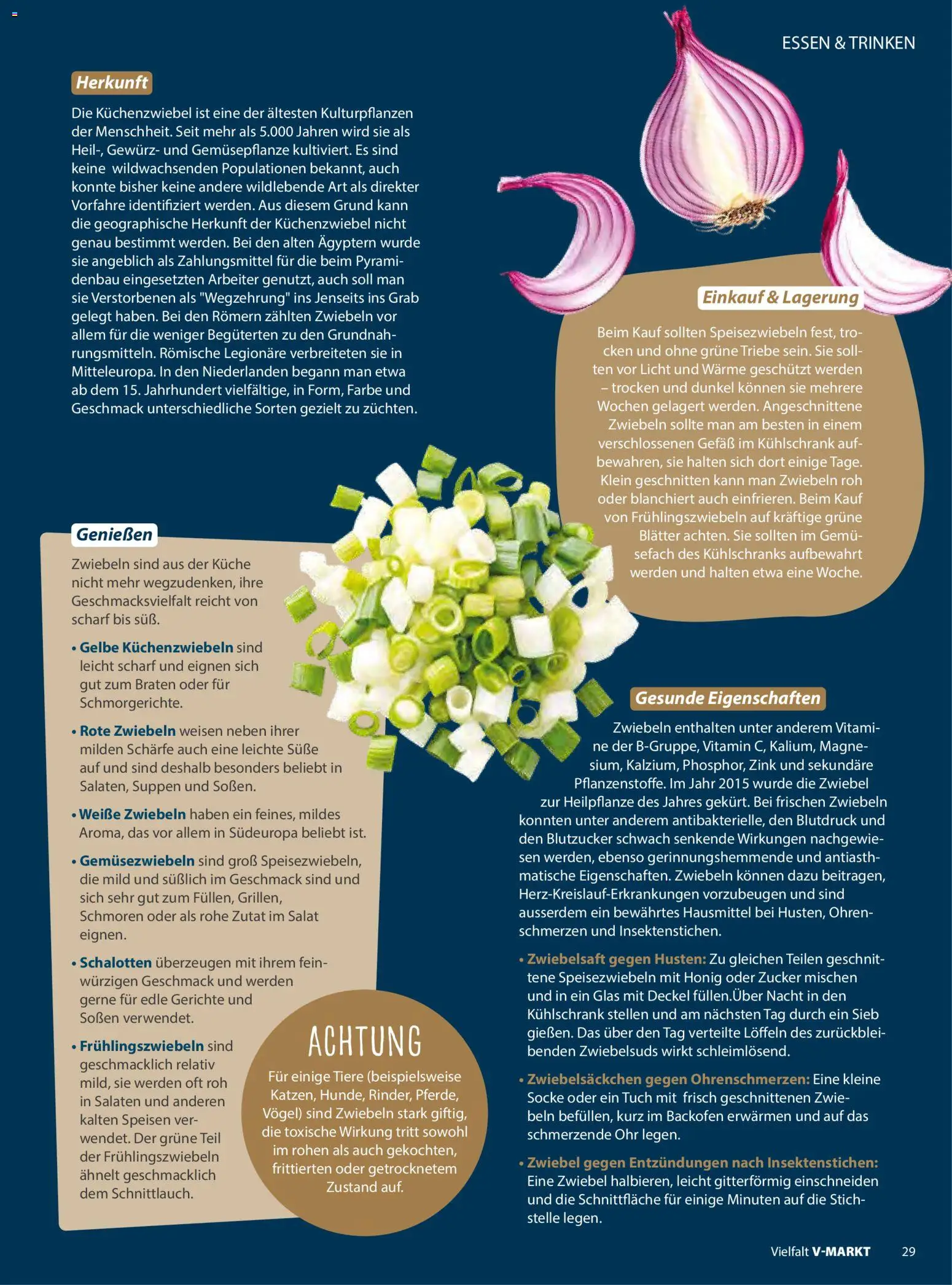 V-Markt - Vielfalt November / Dezember 2025 – gültig ab 01.11.2025 | Seite: 29 | Produkte: Küche, Kühlschrank, Zwiebeln, Zucker