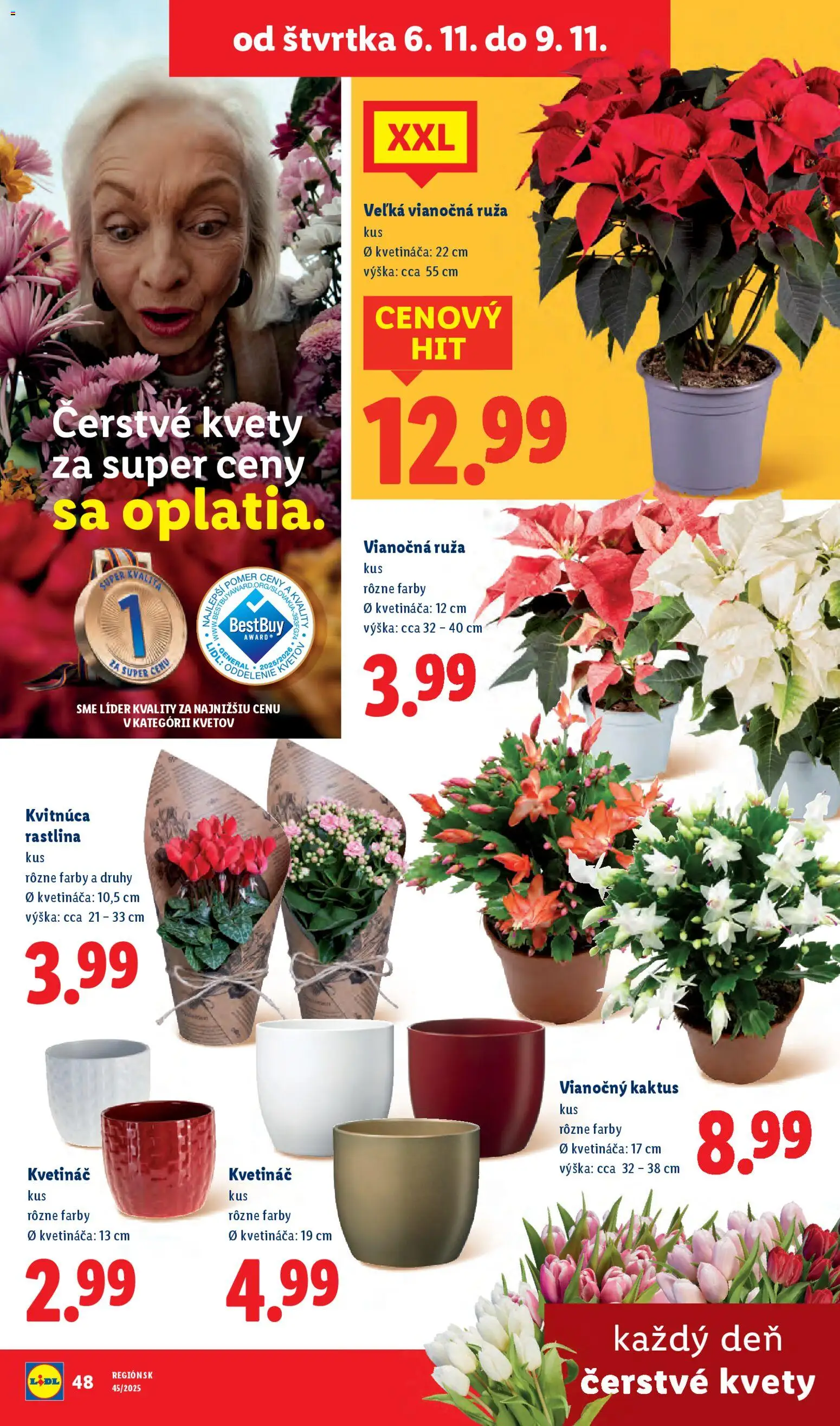 Nové Lidl akcie – leták je platný od 03.11.2025 | Strana: 83 | Produkty: Kvetináč, Kvety