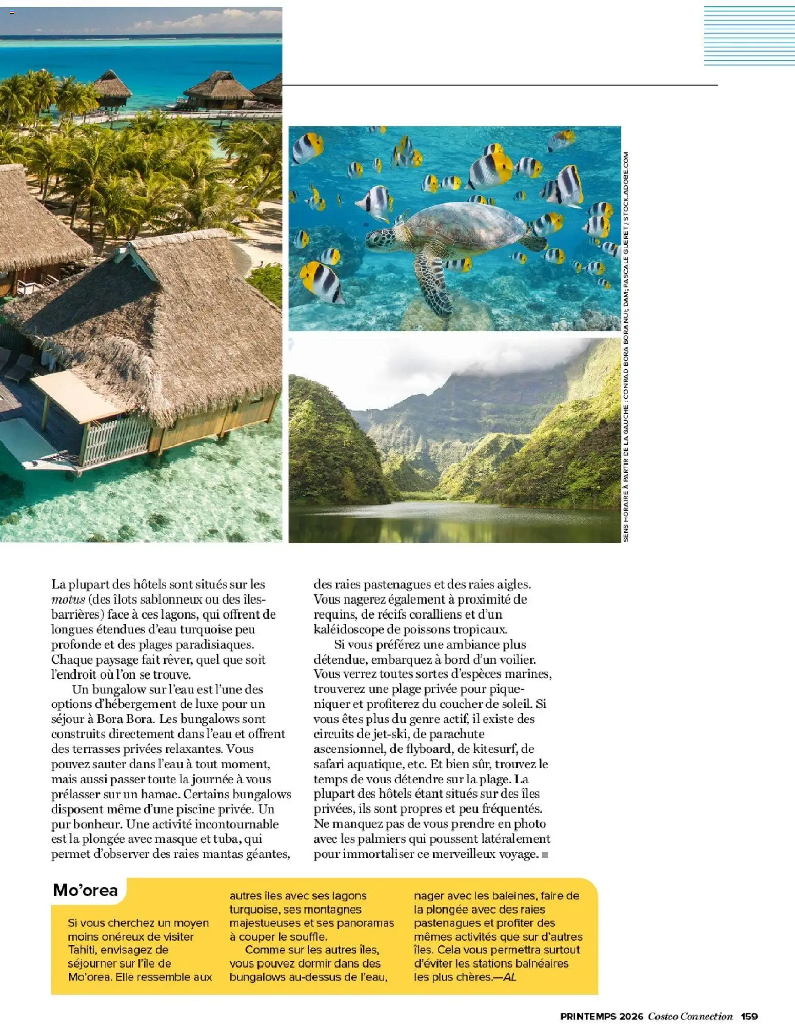 {H1} | Page: 159 | Produits: Mais, Masque