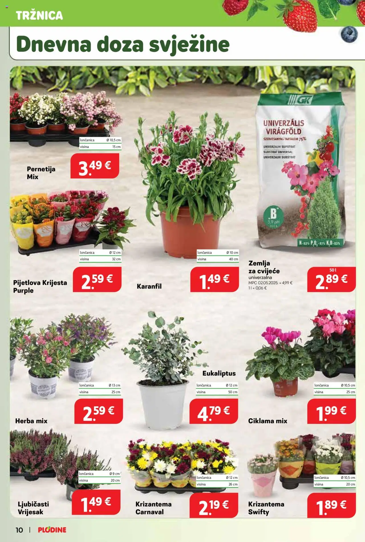 Plodine katalog | vrijedi od 10.09.2025 | Stranica: 10 | Proizvodi: Cvijeće