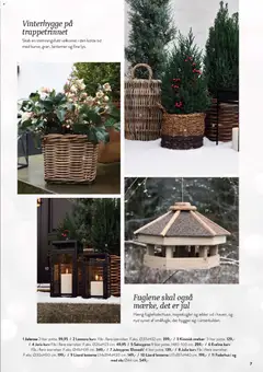 Plantorama - Dyrk Julen gyldig fra 23.11.2025 | Side: 8 | Produkter: Æbler, Skab, Kurv