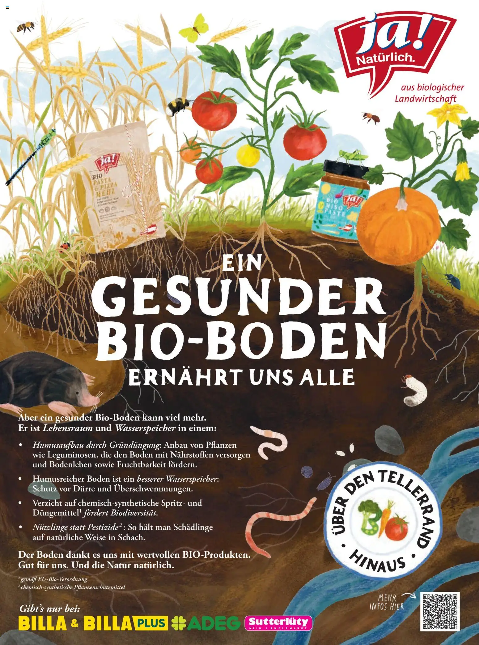 Billa  Frisch Gekocht gültig ab 01.03.2026 | Seite: 74 | Produkte: Pasta, Pizza