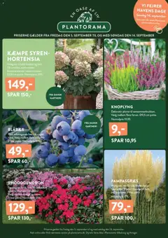 Plantorama - Tilbudsavis gyldig fra 05.09.2025