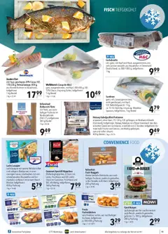 CITTI Markt  Tiefkühlwelt ab 15.10.2025 gültig | Seite: 11 | Produkte: Lachs, Chili, Dill, Frischkase