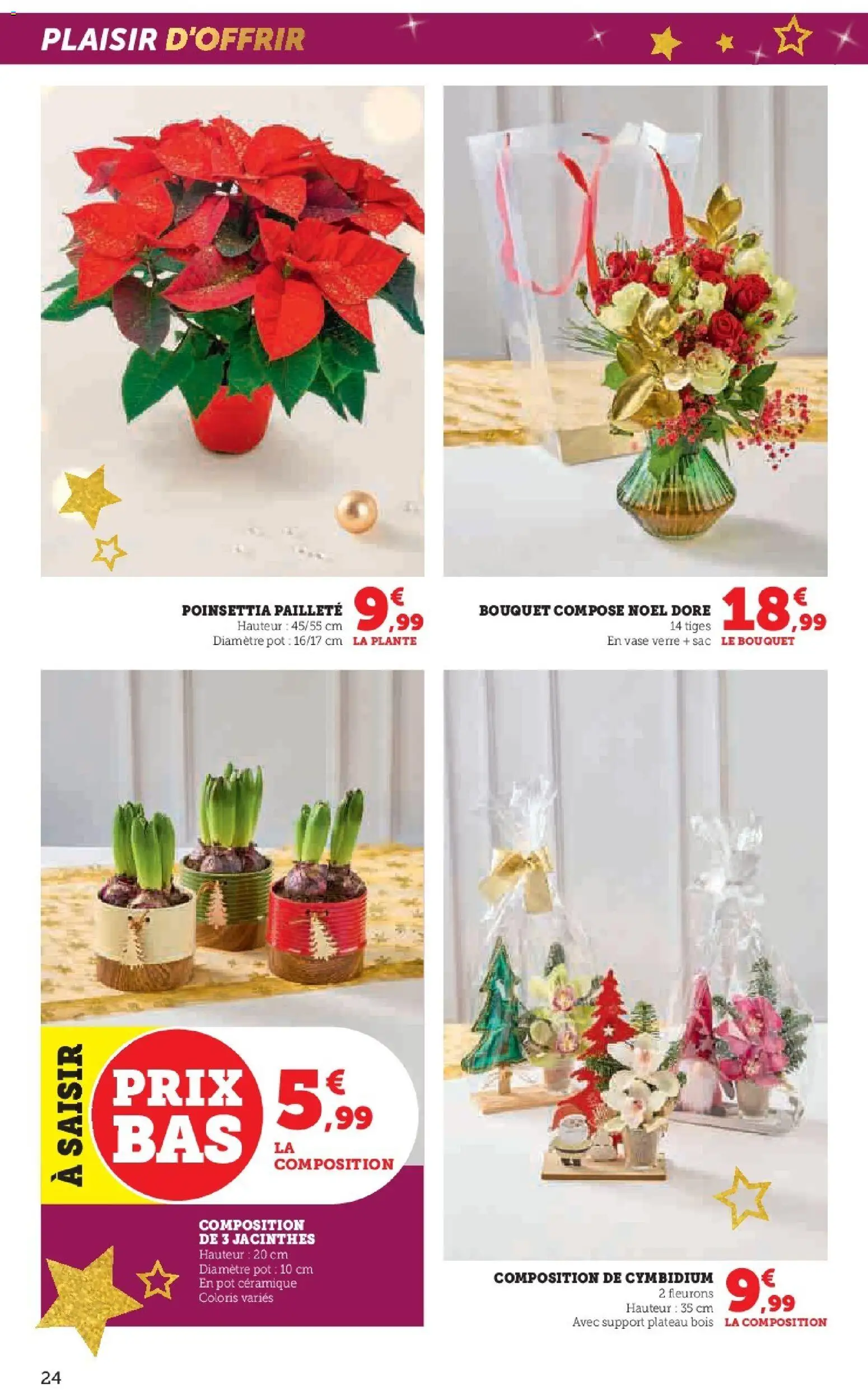 {H1} | Page: 24 | Produits: Poinsettia, Sac, Plateau, Vase