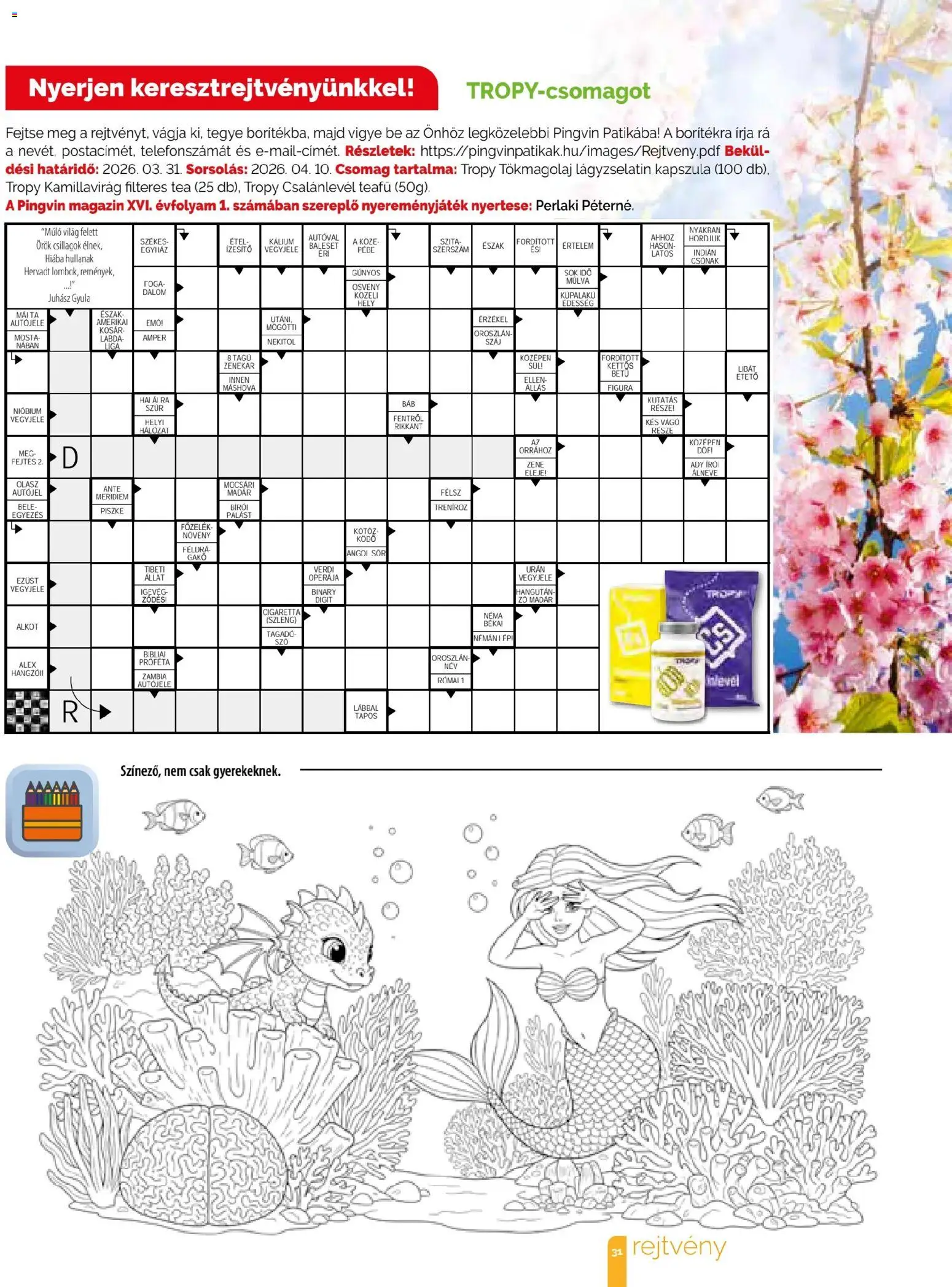 Pingvin Patika akciós ujság - amely érvényes a következő dátumtól: 01.03.2026 | Oldal: 31 | Termékek: Író, Vágó, Kosár, Sör