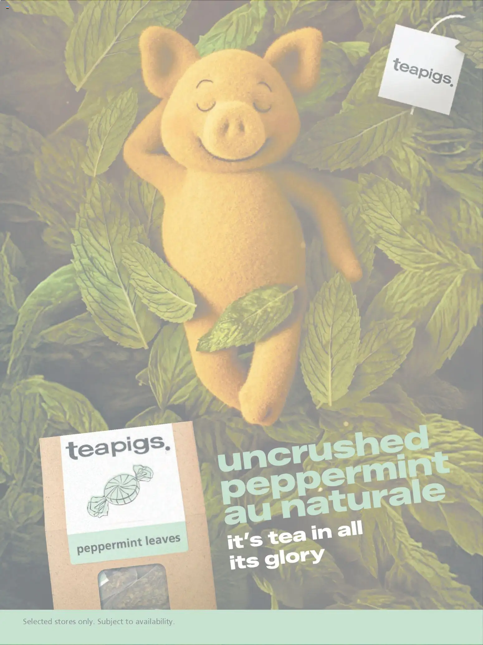 {H1} | Page: 30 | Products: Tea