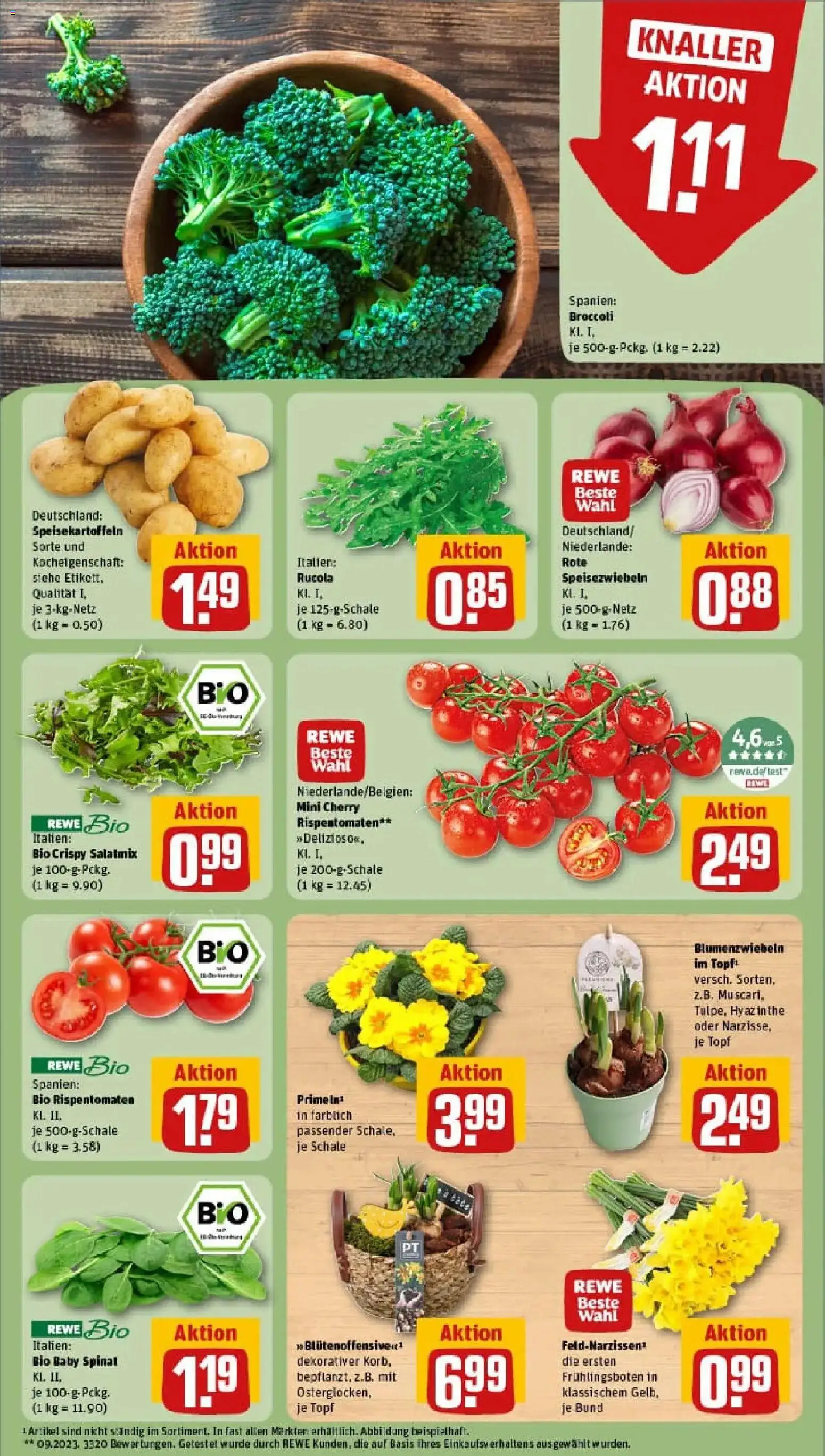 Rewe prospekt Obersulm	 – gültig ab 26.01.2026 | Seite: 7 | Produkte: Rucola