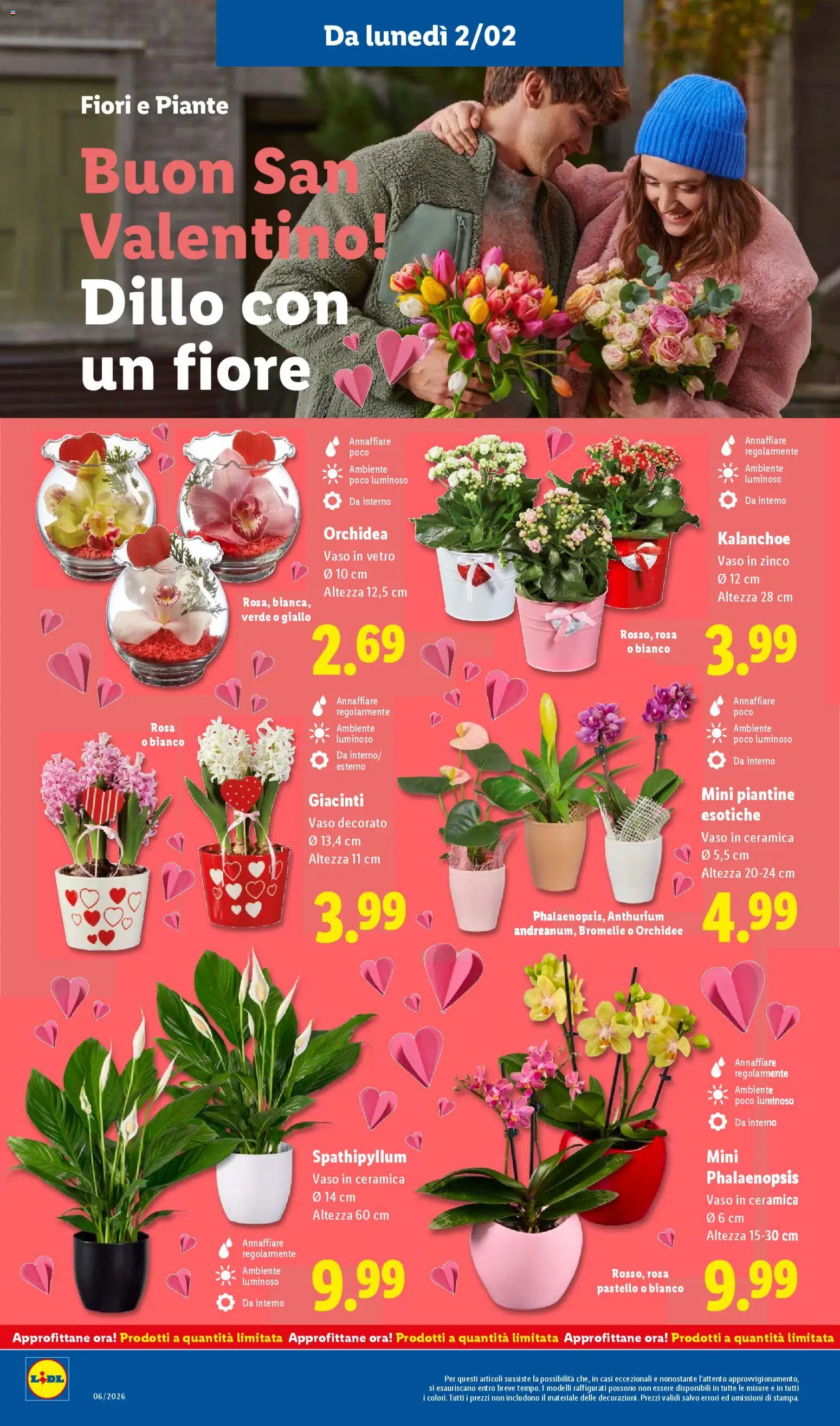 Volantino Lidl del 02.02.2026 | Pagina: 28 | Prodotti: Orchidea, Vaso