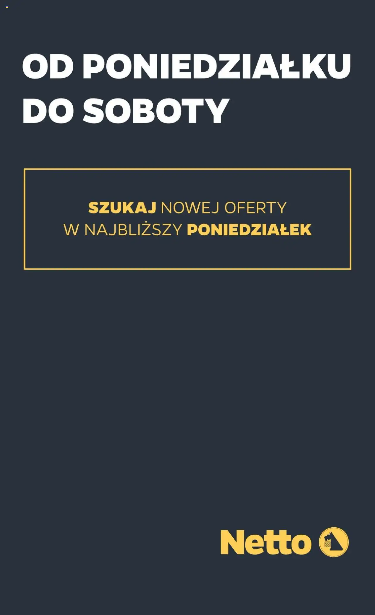 Netto gazetka - Non Food od 07.08.2025 | Strona: 11