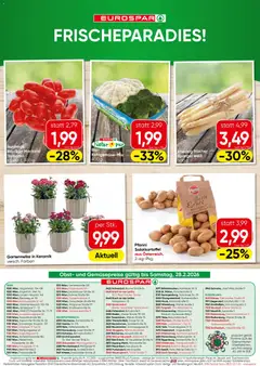 Eurospar Flugblatt ab 26.02.2026 gültig | Seite: 16