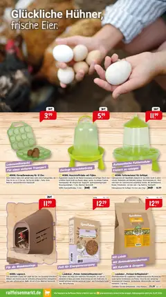 Raiffeisen Markt Prospekt 	 ab 28.01.2026 gültig | Seite: 7 | Produkte: Eier, Leinöl, Wasser, Karotte