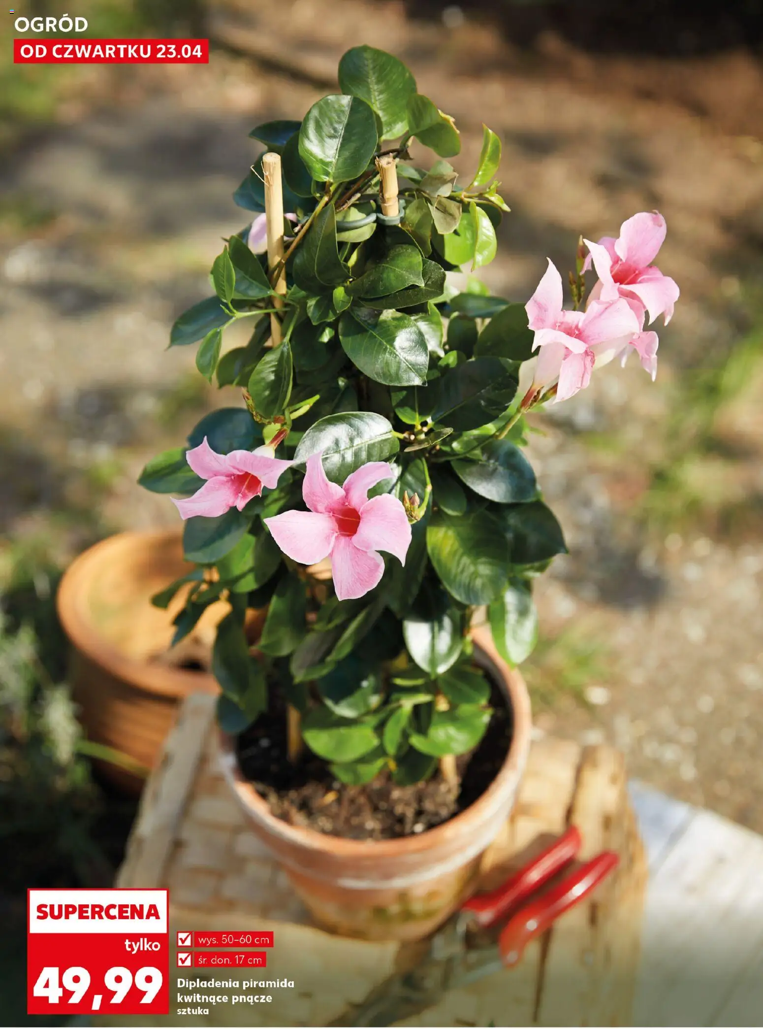 Kaufland Polsko leták - Wiosenne inspiracje od 23.04.2026 | Strana: 10