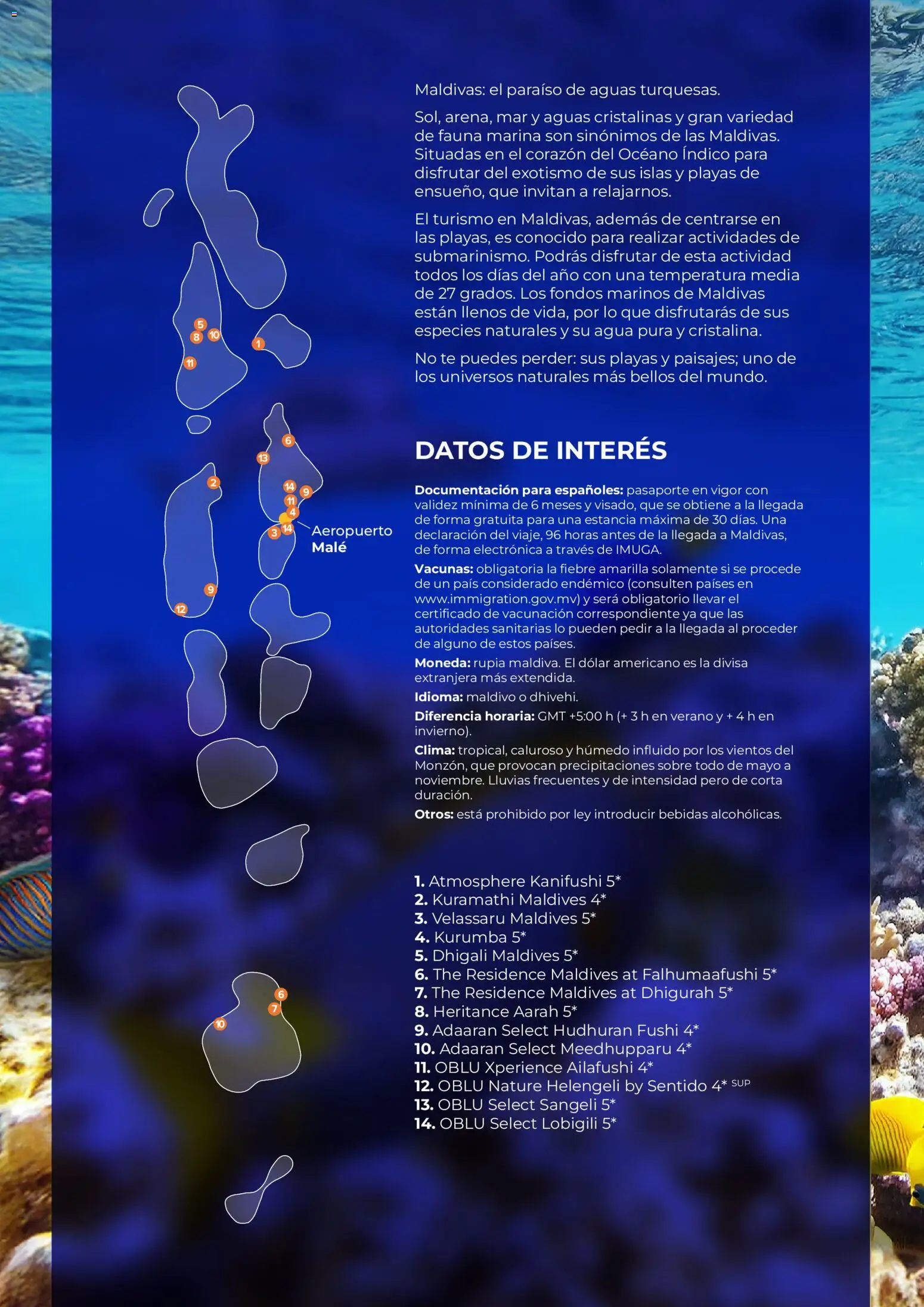 Viajes El Corte Inglés Asia y Oceanía │ válido desde el 01.01.2026 | Página: 38 | Productos: Té