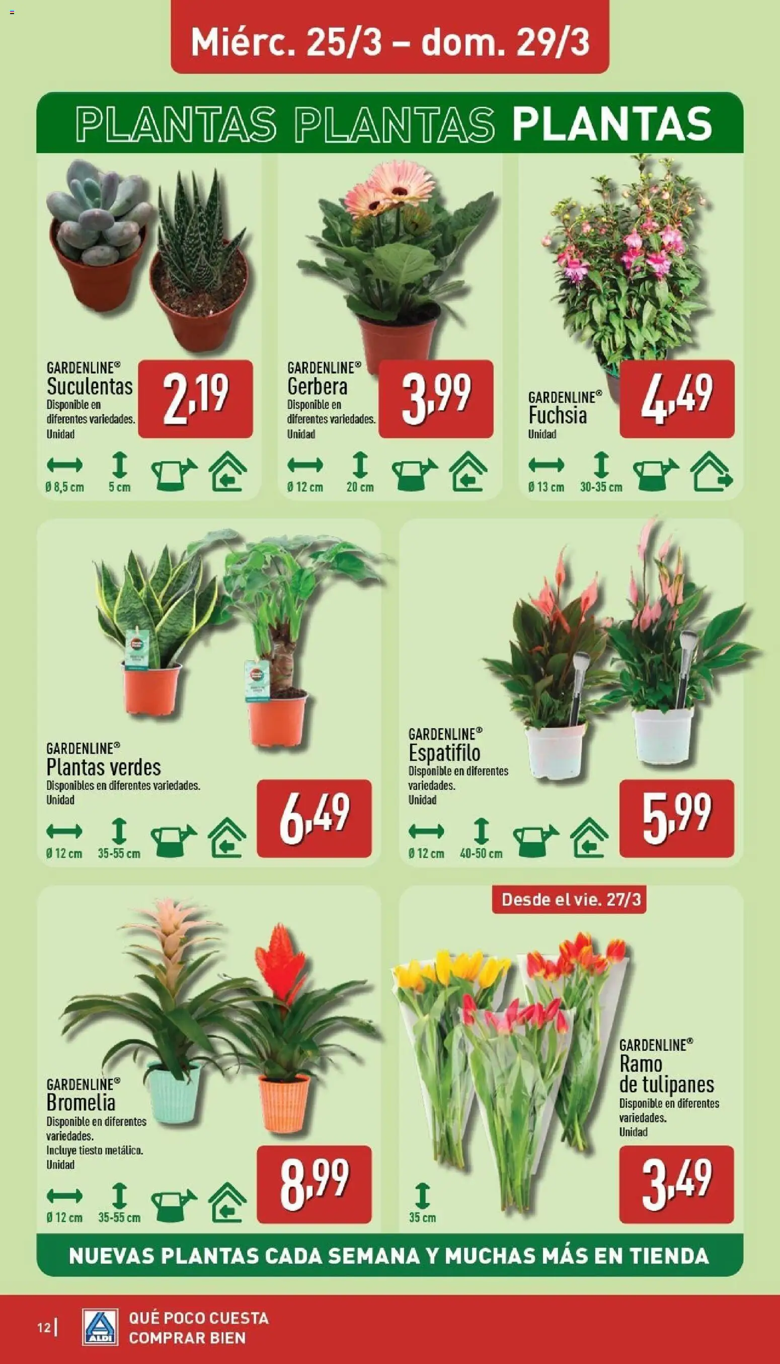 Aldi folleto Baleares │ válido desde el 23.03.2026 | Página: 12