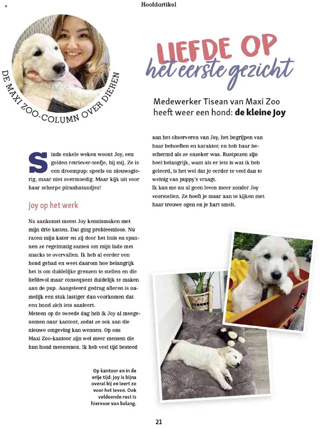  | Pagina: 21 | Producten: Snacks, Overal, Kan