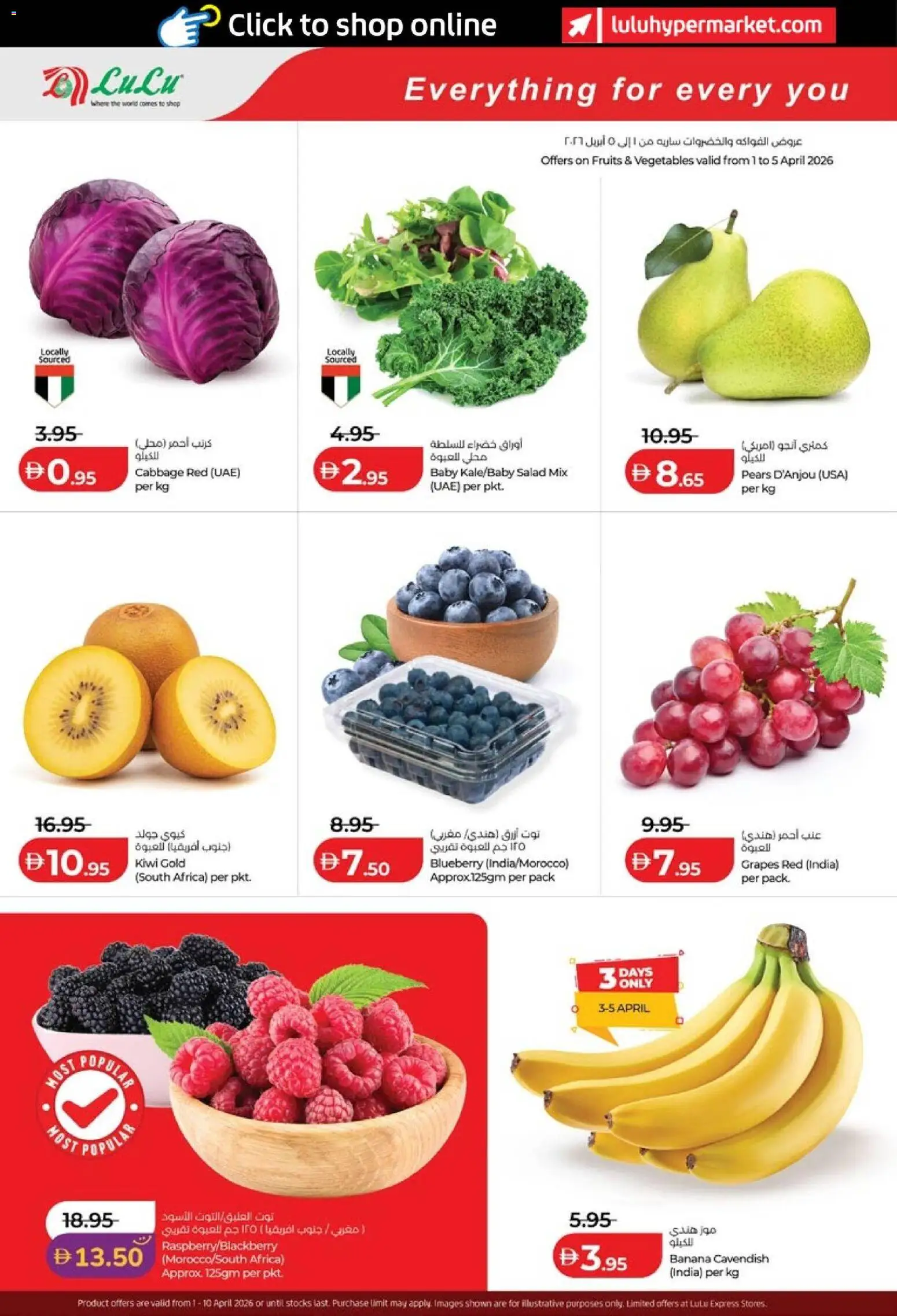 {H1} | Page: 48 | Products: Myčka, Lavastoviglie