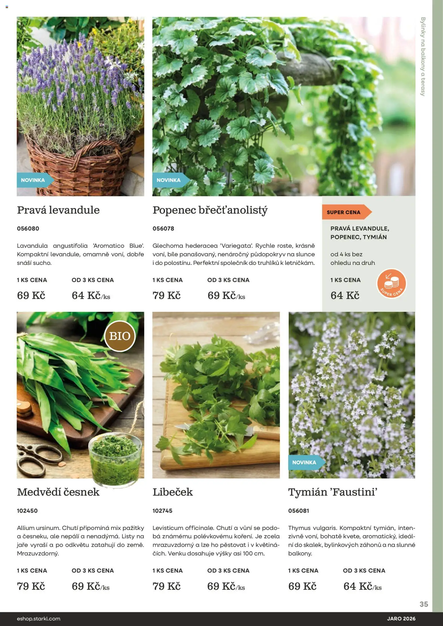 Starkl katalog Jaro 2026 od 25.02.2026 | Strana: 35 | Produkty: Česnek