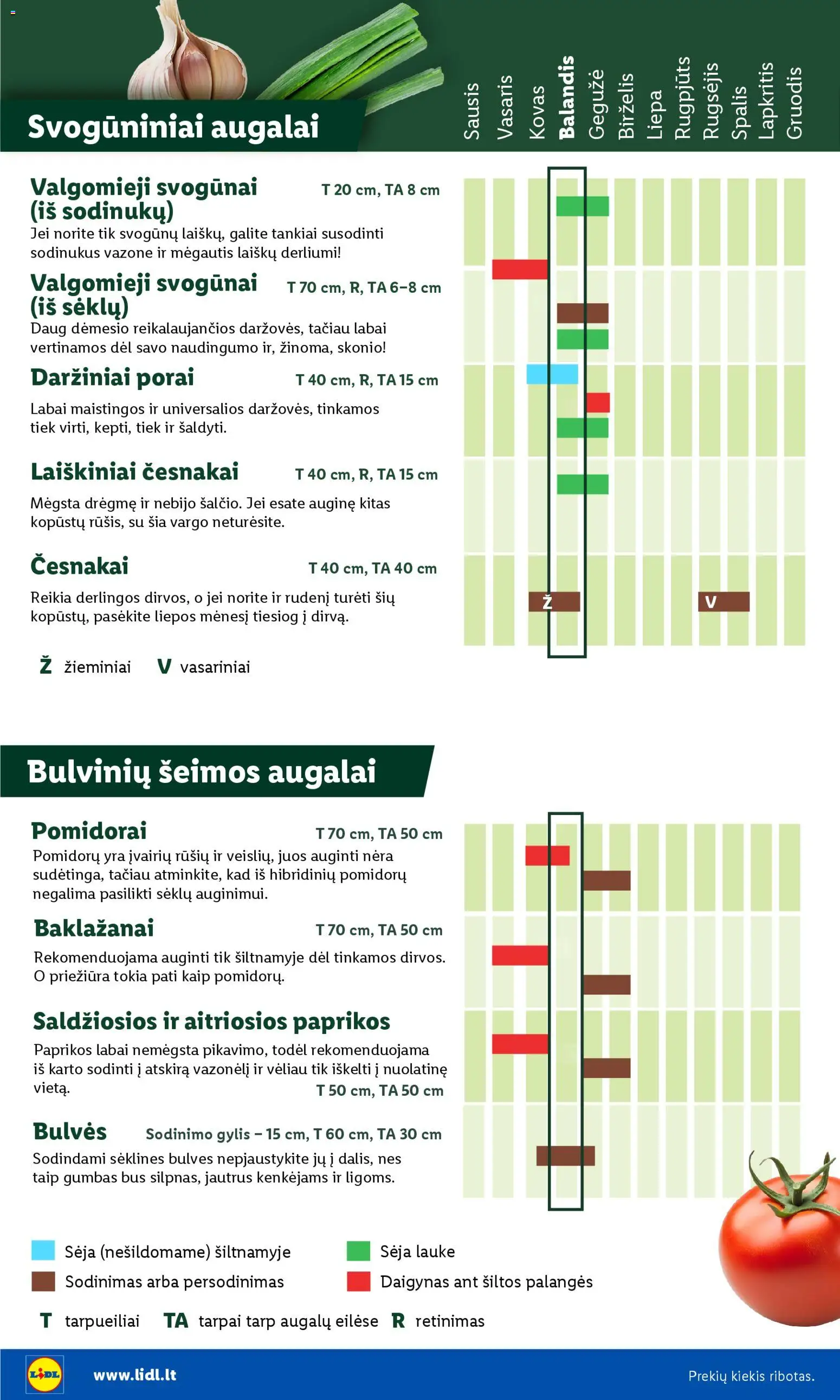LIDL akcijos nuo 30.03.2026 | Puslapis: 6 | Prekių: Svogūnai, Bulvės, Pomidorai