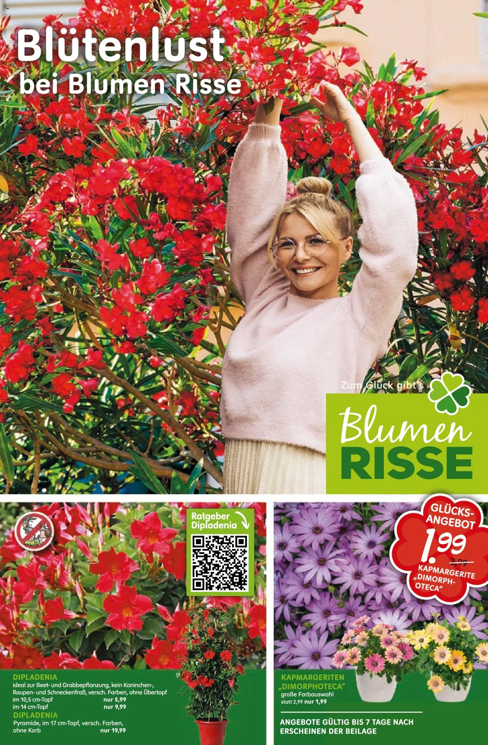 Blumen Risse Prospekt Blumenmarkt – gültig ab 16.04.2026 | Seite: 1 | Produkte: Kaninchen, Korb, Blumen