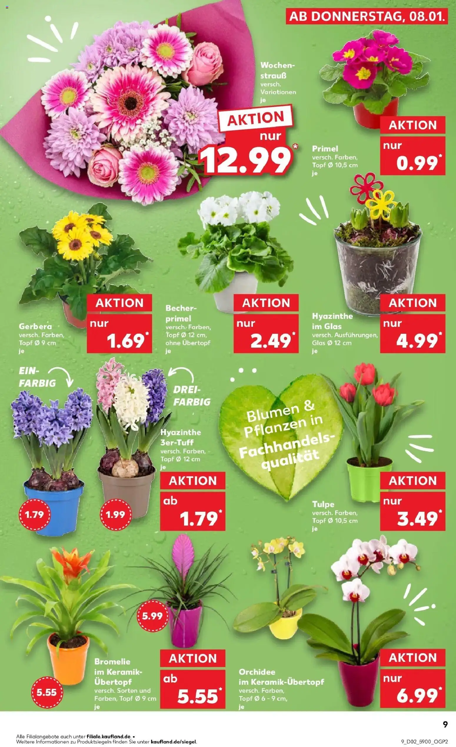 Kaufland prospekt Herzberg (Elster)	 – gültig ab 11.01.2026 | Seite: 9 | Produkte: Orchidee, Blumen