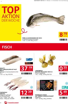 Transgourmet Flugblatt ab 26.10.2025 gültig | Seite: 14 | Produkte: Fisch