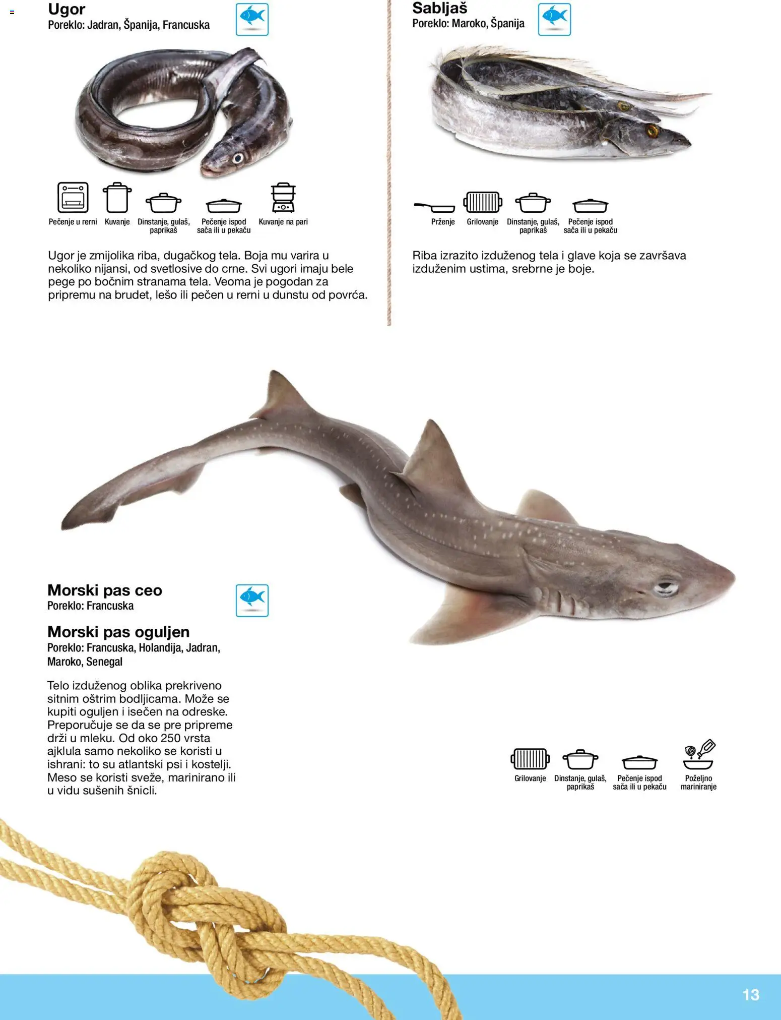 Metro katalog - važi od 10.12.2025 | Strana: 13 | Proizvode: Riba