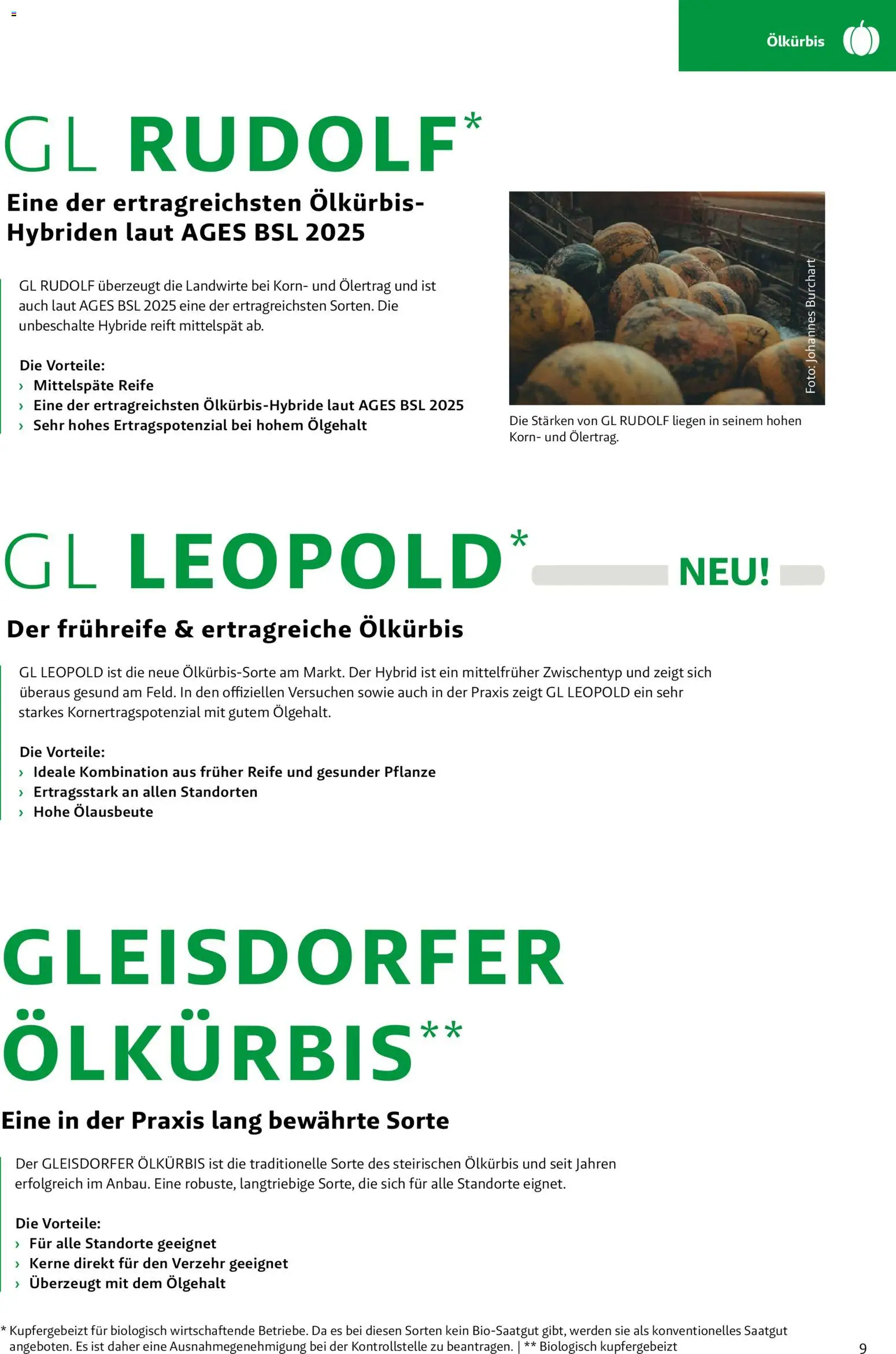 Lagerhaus - Frühjahr 2026 gültig ab 01.03.2026 | Seite: 9