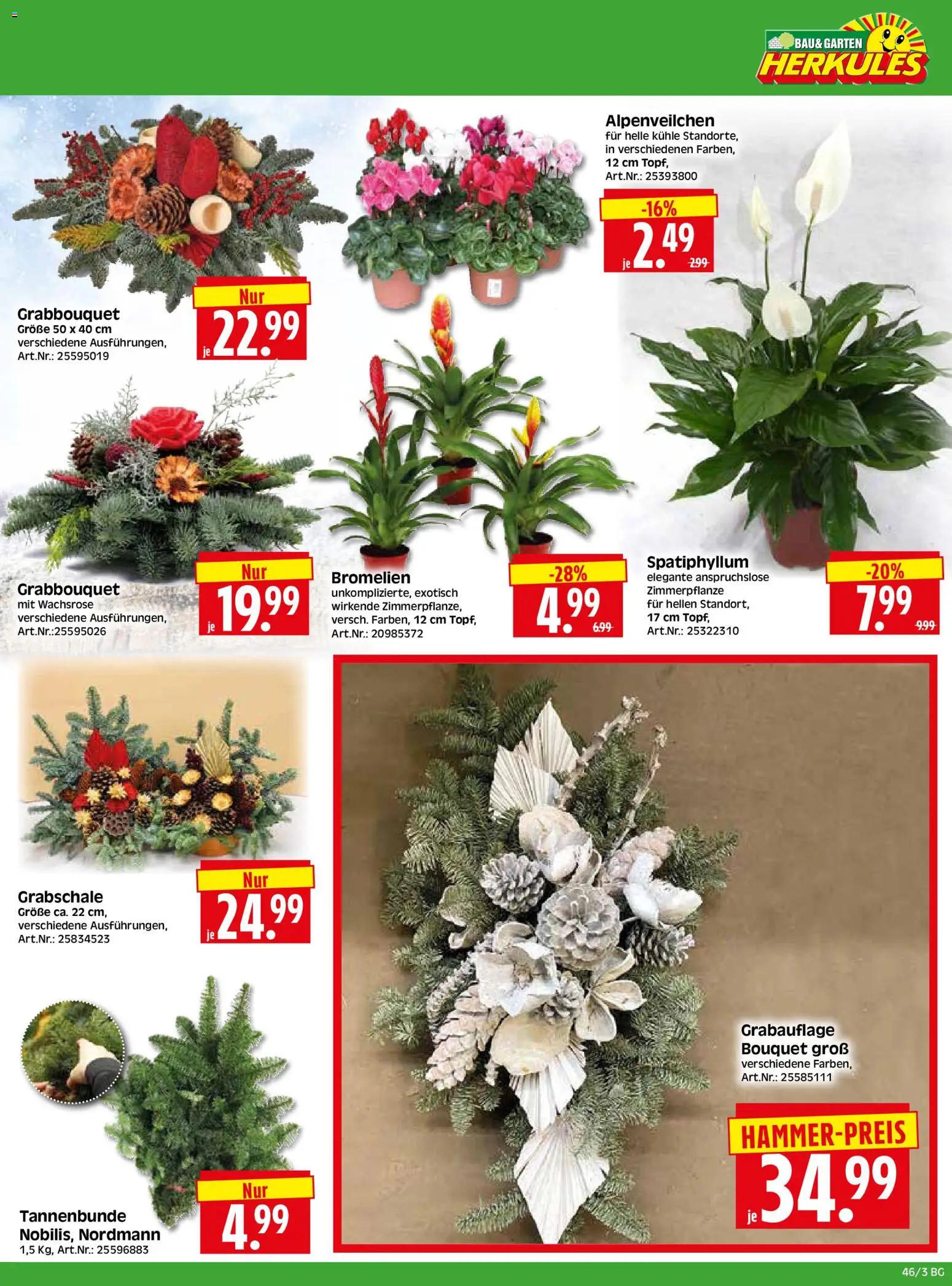 HERKULES  Bau & Garten – gültig ab 10.11.2025 | Seite: 3