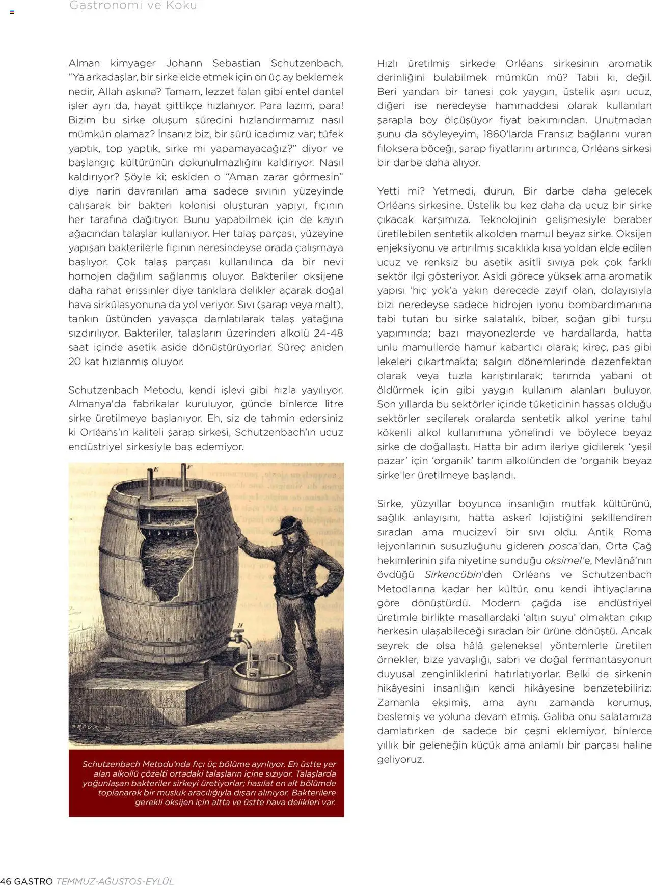 Metro Katalog Gastro Temmuz - Ağustos - Eylül 2025 - 01.07.2025 tarihinden itibaren geçerlidir | Sayfa: 46 | Ürünler: Şarap, Koku, Soğan, Saat