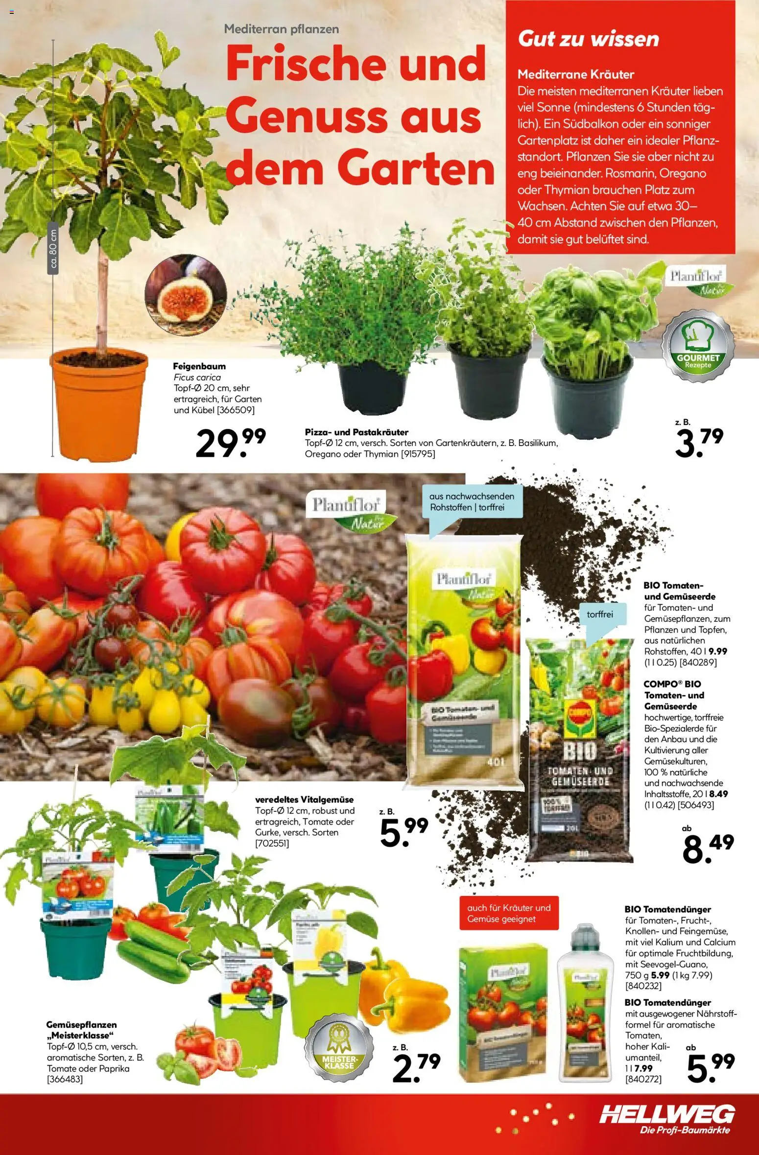 HELLWEG Flugblatt gültig ab 09.04.2026 | Seite: 13 | Produkte: Gemüse, Pizza, Tomaten
