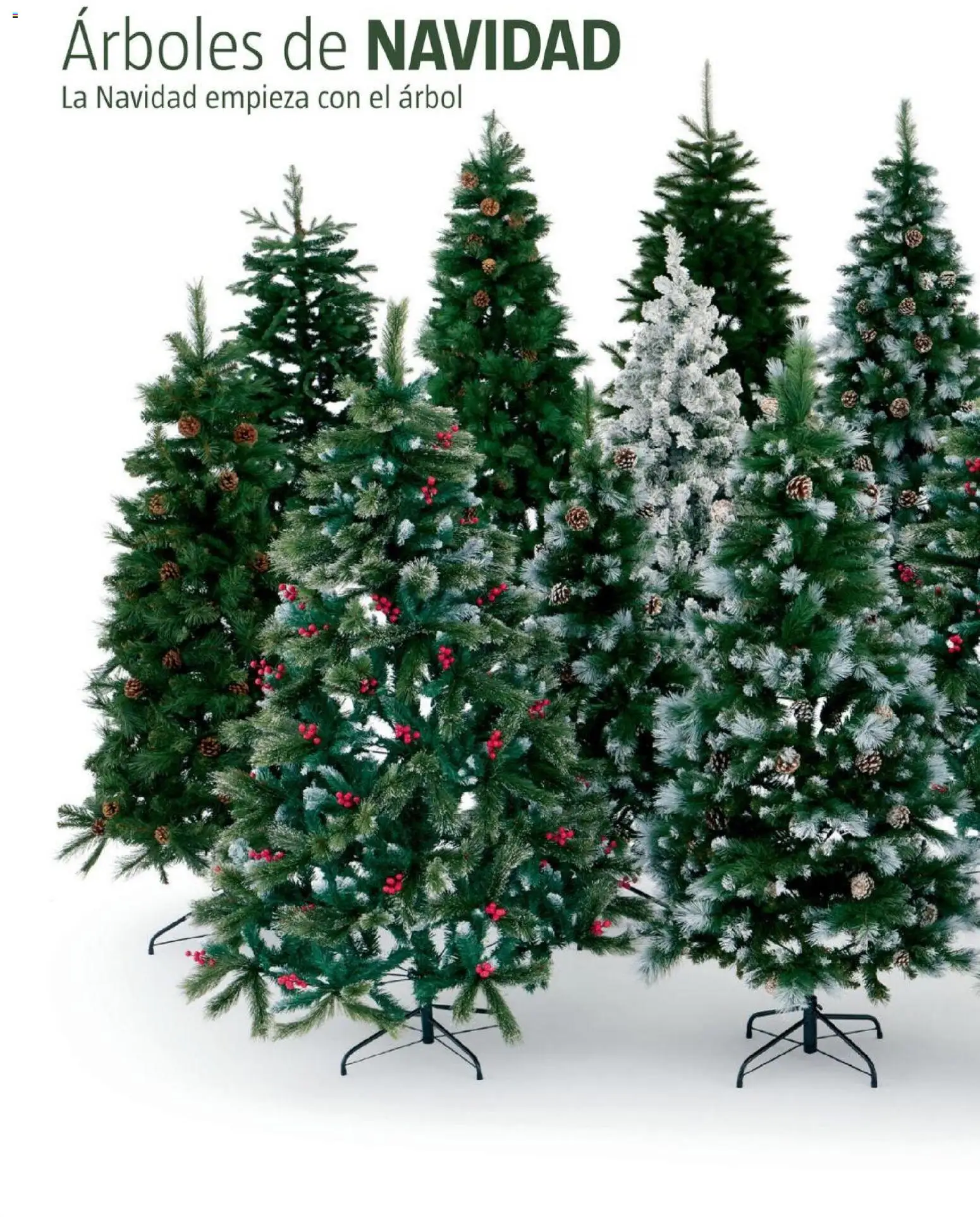 Bauhaus - Navidad 2025 │ válido desde el 05.11.2025 | Página: 40