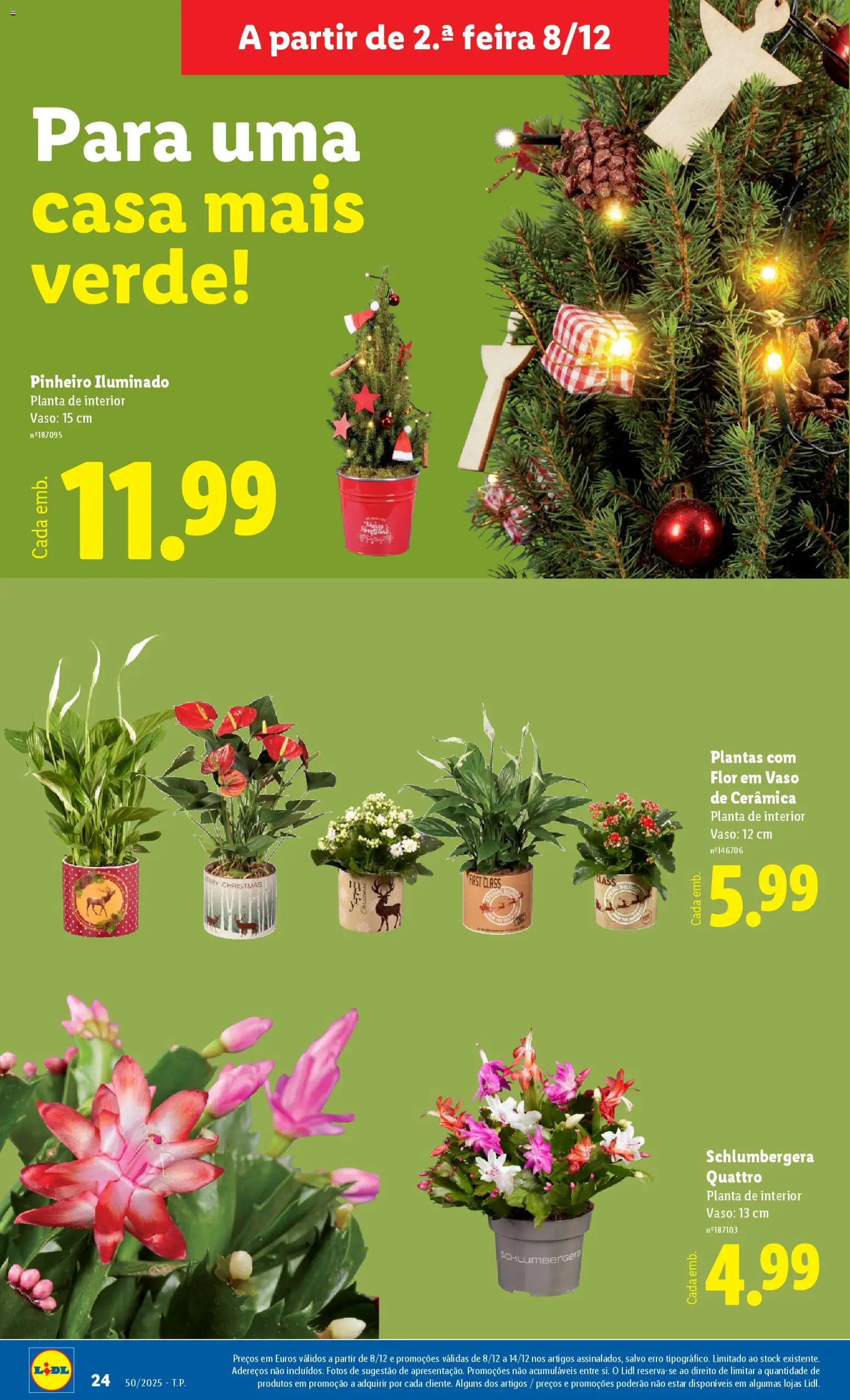 Lidl Novidades │ válido de 08.12.2025 | Página: 24 | Produtos: Vaso