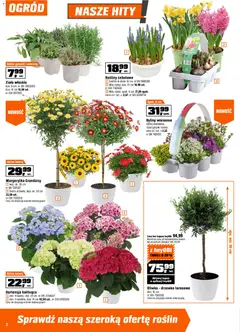 Pogląd oferty "OBI gazetka" - ważna od 25.03.2026 | Strona: 2 | Produkty: Rosliny