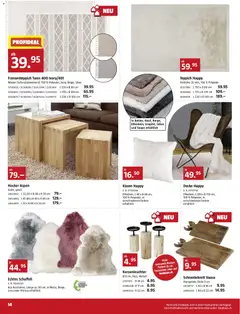 Bauhaus Aktionen ab 29.12.2025 gültig | Seite: 14