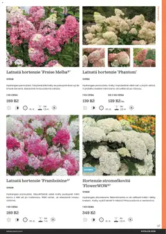 Náhled letáku Starkl katalog od 25.02.2026 | Strana: 47