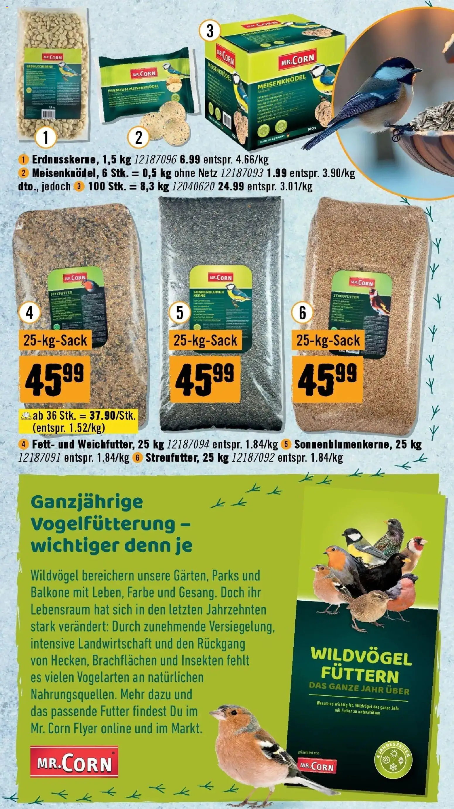 Hornbach Flugblatt gültig ab 18.11.2025 | Seite: 15