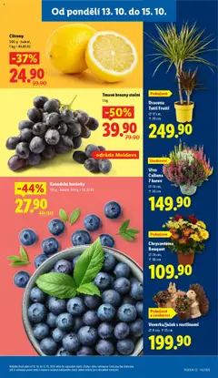 Náhled letáku Kanadské borůvky, 125 g - balení, 100 g = 22,32 Kč od 13.10.2025 | Strana: 9 | Produkty: Vřes, Borůvky, Citróny, Hrozny