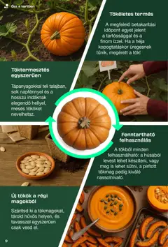 Lidl - Parkside - amely érvényes a következő dátumtól: 26.08.2025 | Oldal: 9