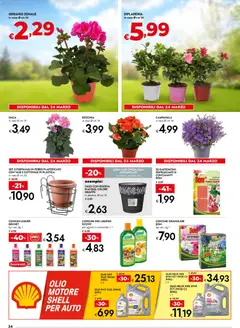 Anteprima del volantino bennet volantino Pasqua valido a partire dal 23.03.2026 | Pagina: 34 | Prodotti: Concime, Portavasi, Olio, Vaso