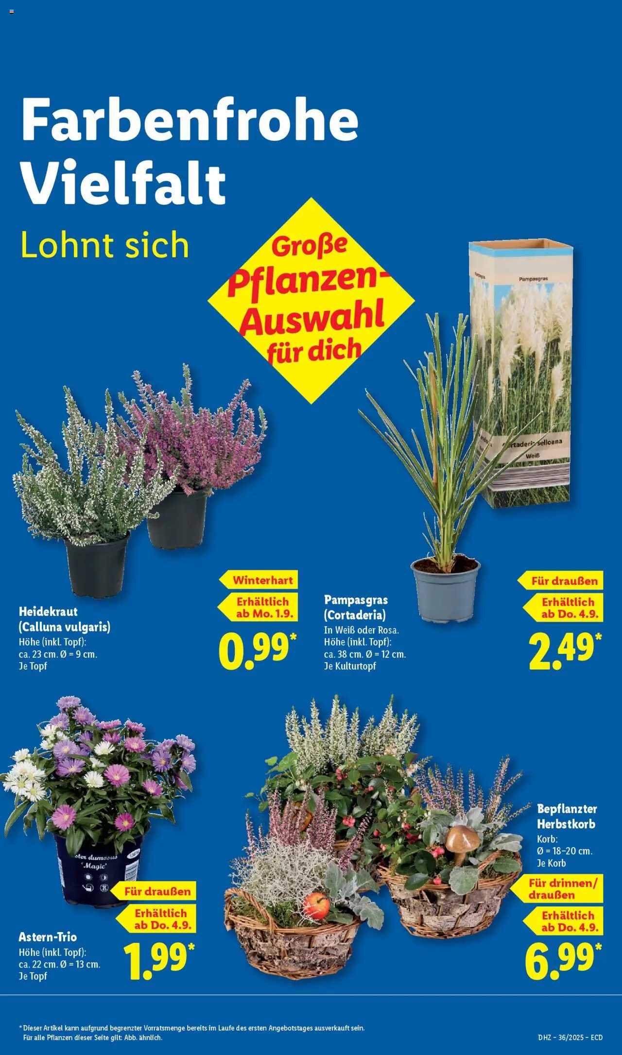 Lidl Prospekt 	 - gültig ab dem 01.09.2025 | Seite: 15 | Produkte: Korb