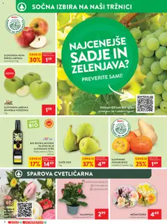 Novi Spar katalog ponudbe – veljaven od 17.09.2025 | Stran: 8 | Izdelki: Buče, Šopek, Zelenjava, Sadje