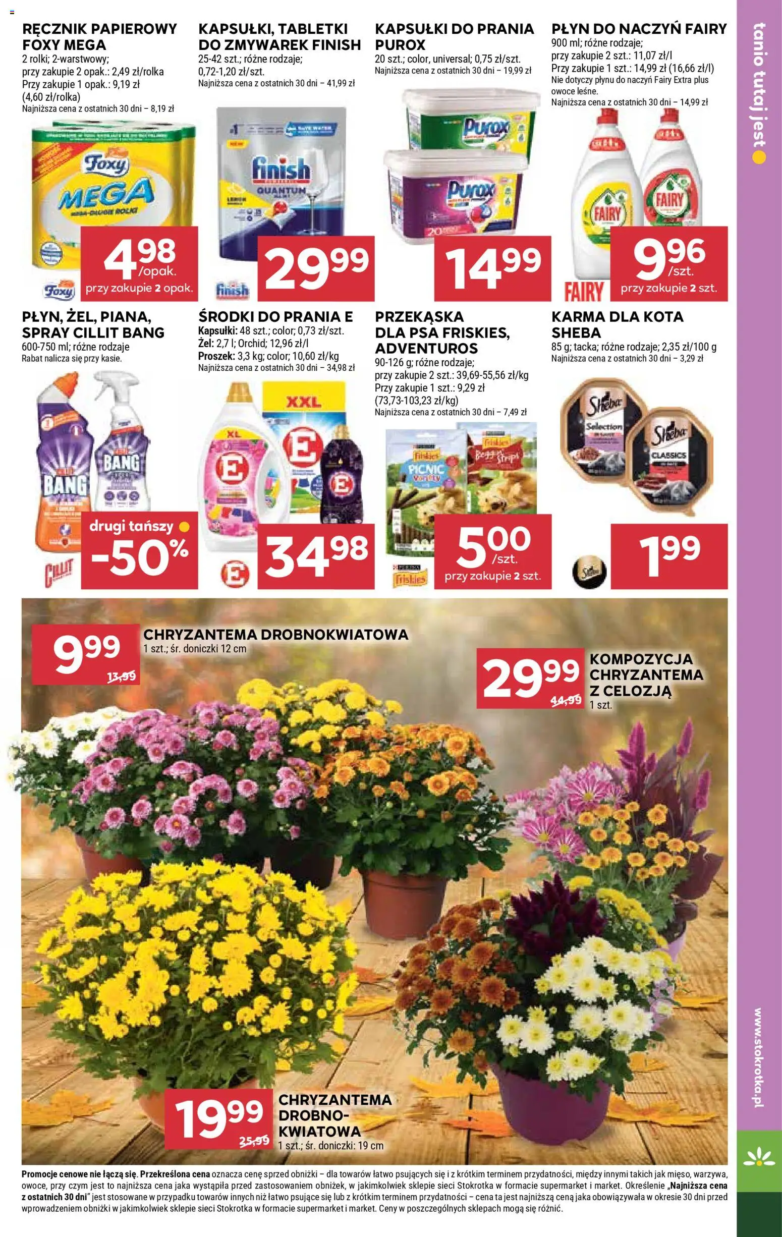 Stokrotka Gazetka od 23.10.2025 | Strona: 31 | Produkty: Fairy, Finish, Ręcznik papierowy, Owoce
