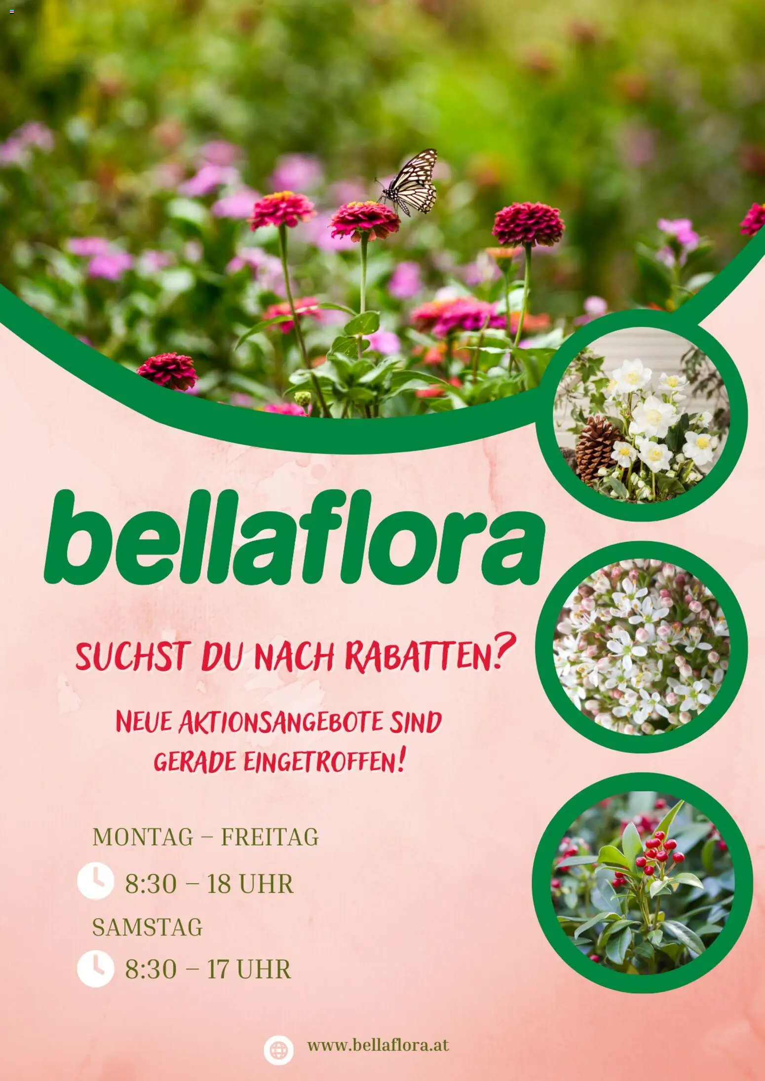 bellaflora Flugblatt gültig ab 06.03.2026 | Seite: 1 | Produkte: Uhr