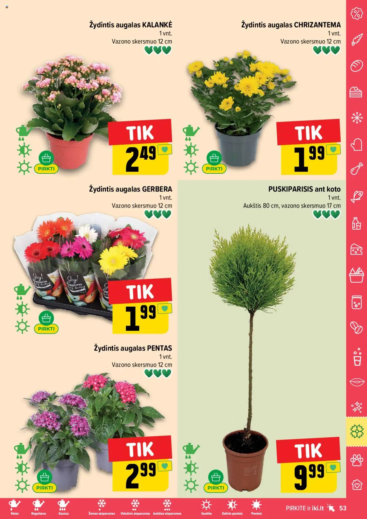 IKI leidinys│galioja nuo 07.07.2025 | Puslapis: 53
